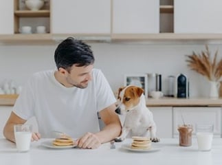 hypocalcémie chez le chien
